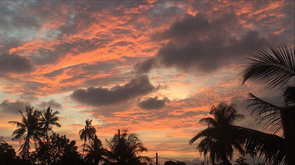 Prime land plot in Ranaghat